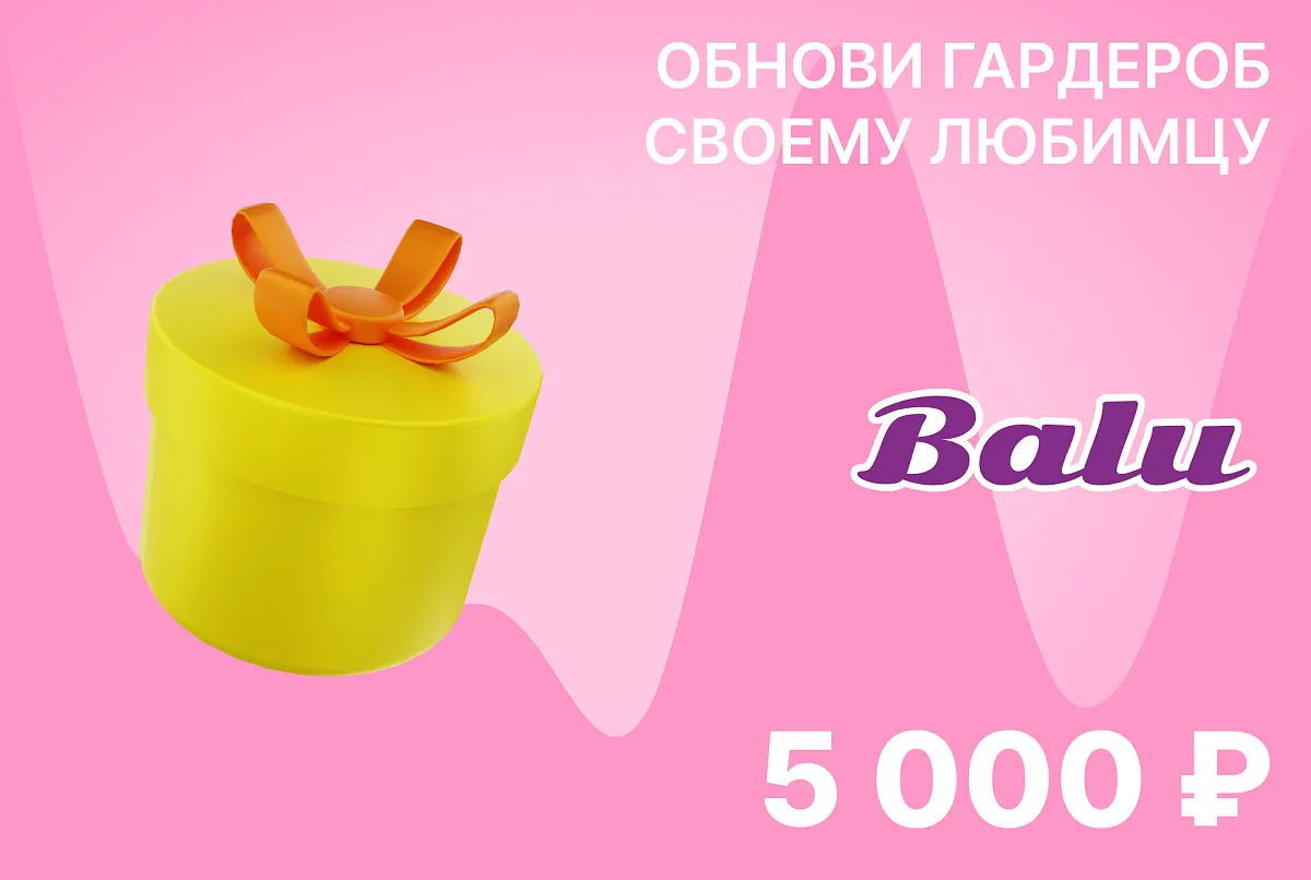 Подарочный сертификат на сумму 5 000 ₽