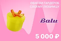 Подарочный сертификат на сумму 5 000 ₽