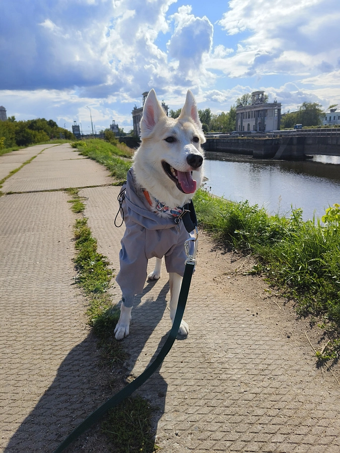 Фотография к отзыву от Мария.